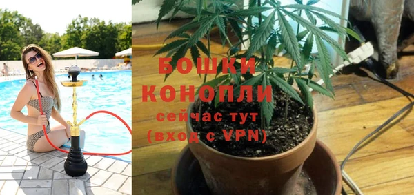 дмт Алзамай