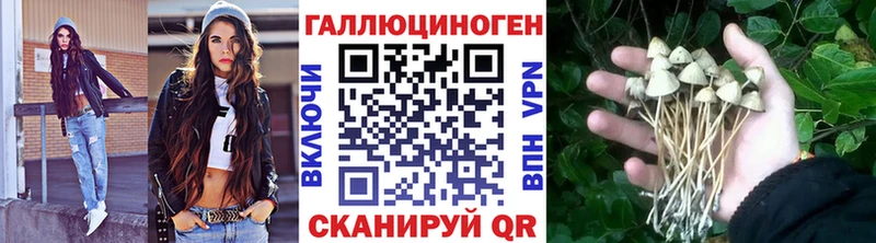 Галлюциногенные грибы Cubensis  Макушино 